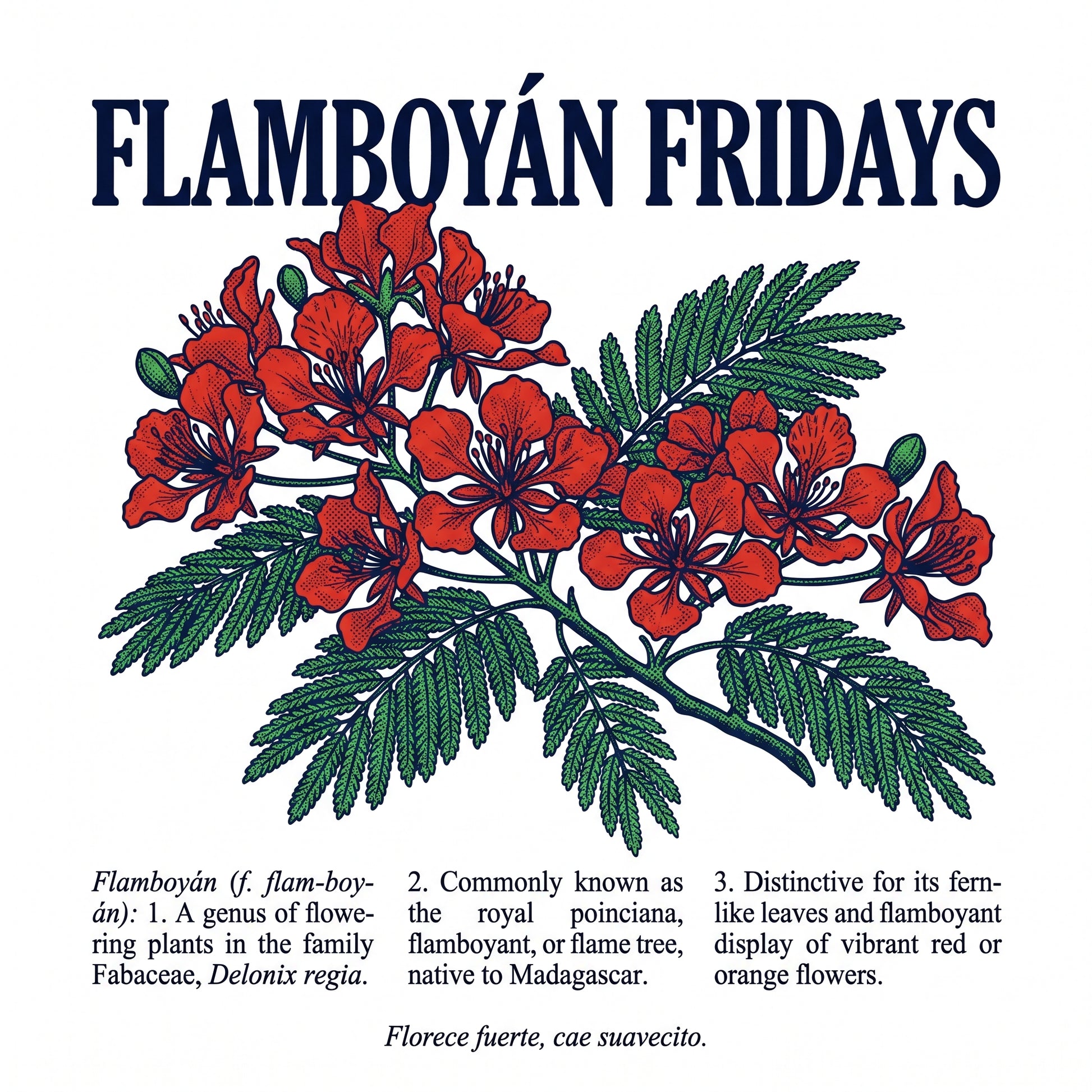 FLAMBOYÁN FRIDAYS