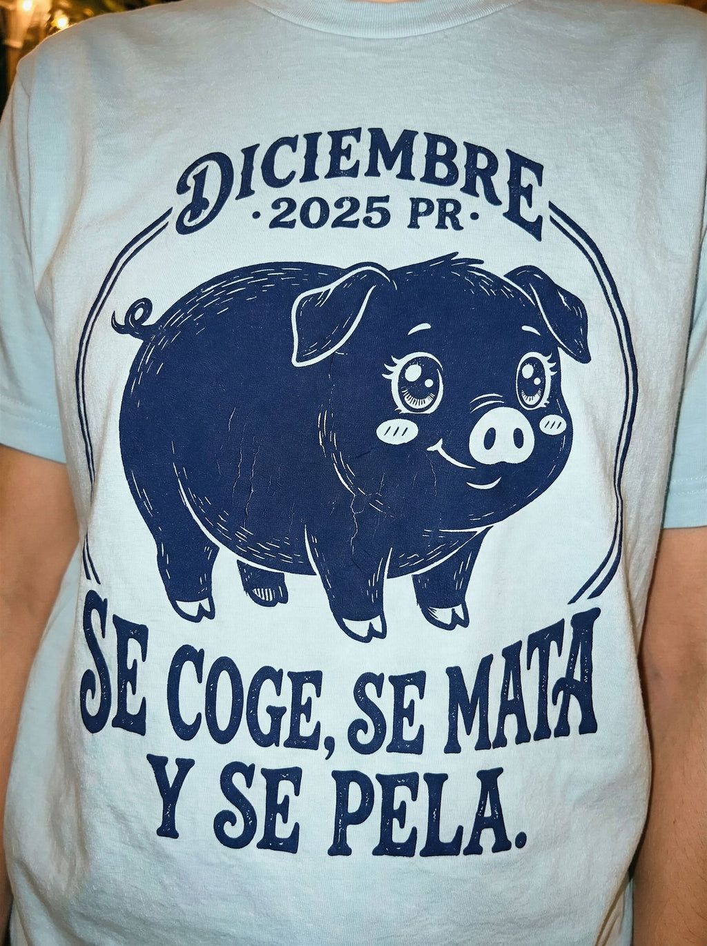 Pig Themed Festive T-Shirt - mockup_Y2E3OWRlZTQtN2M2Zi00NzMzLTk1ZDgtZjczZmQwYzZmN2Yx_rosa_zoom_20251123_131927_upscaled.jpg