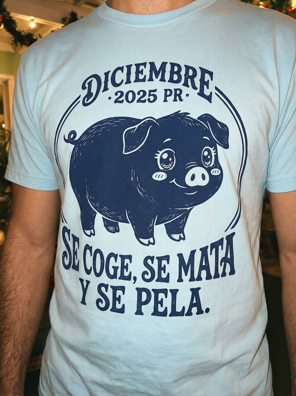 Pig Themed Festive T-Shirt - mockup_YzExZWJhZTYtYjU1Yy00NzI2LWJlOGMtNWUxY2QwMzg5Yzk4_sami_zoom_20251123_140236_upscaled.jpg