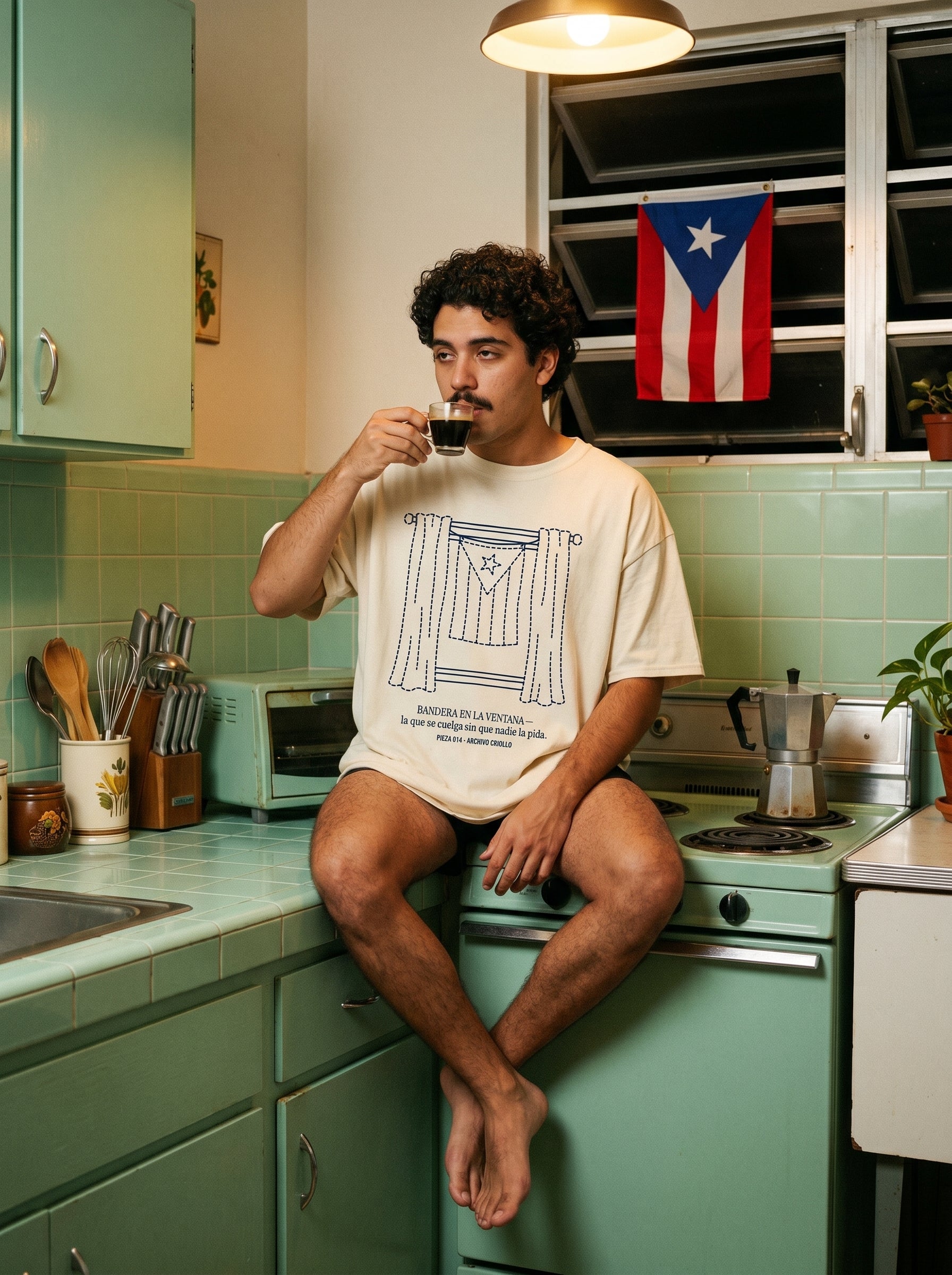 BANDERA EN LA VENTANA — model