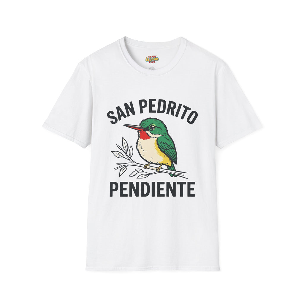 SAN PEDRITO PENDIENTE