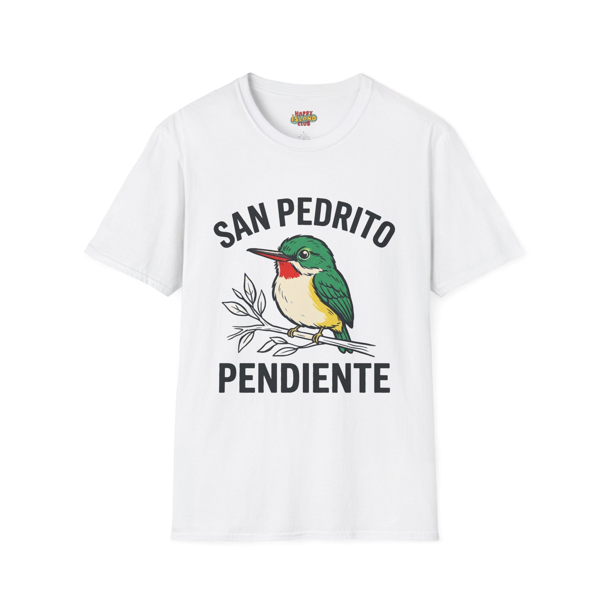 SAN PEDRITO PENDIENTE