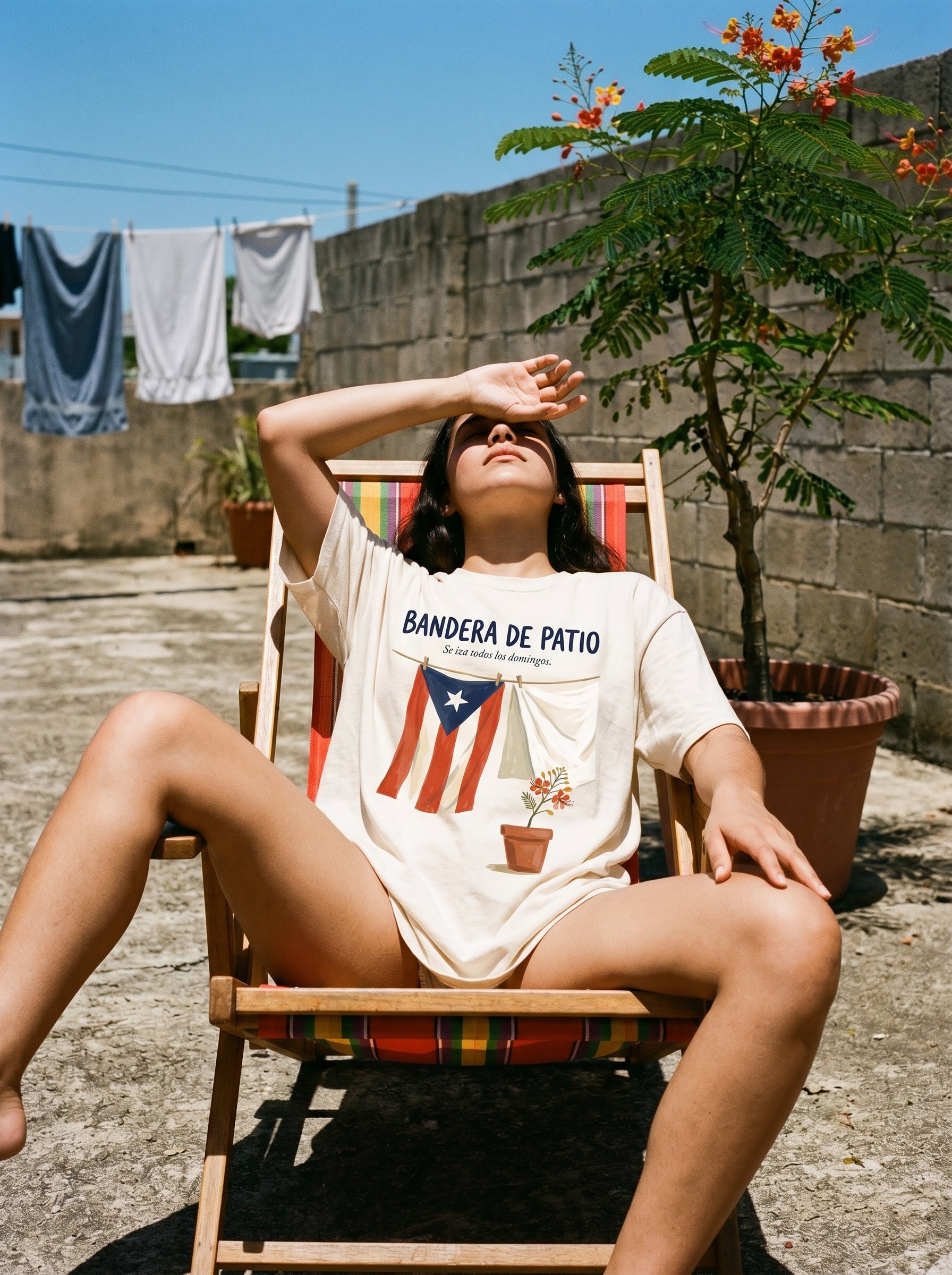 BANDERA DE PATIO — model
