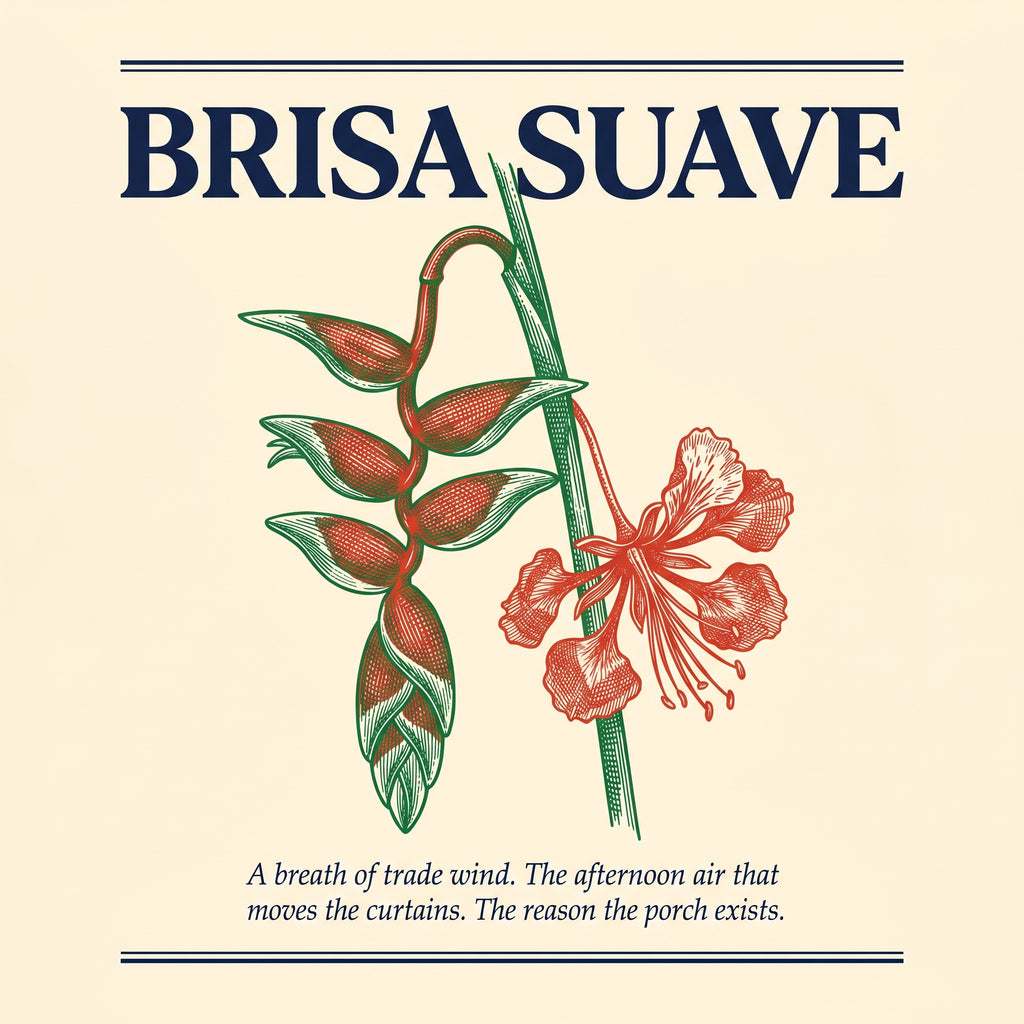 BRISA SUAVE