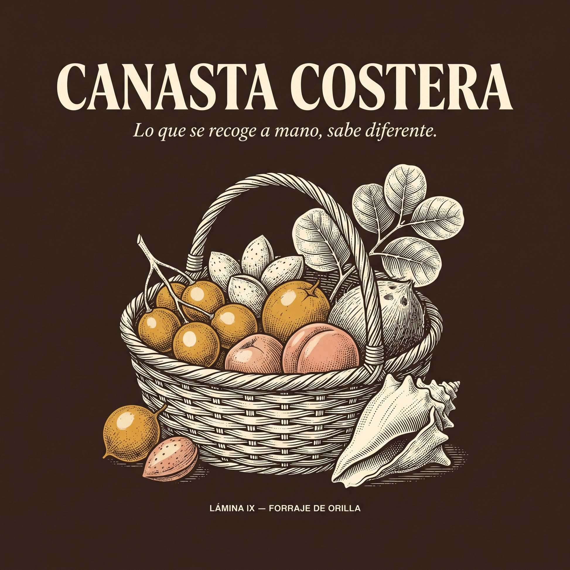 CANASTA COSTERA — design