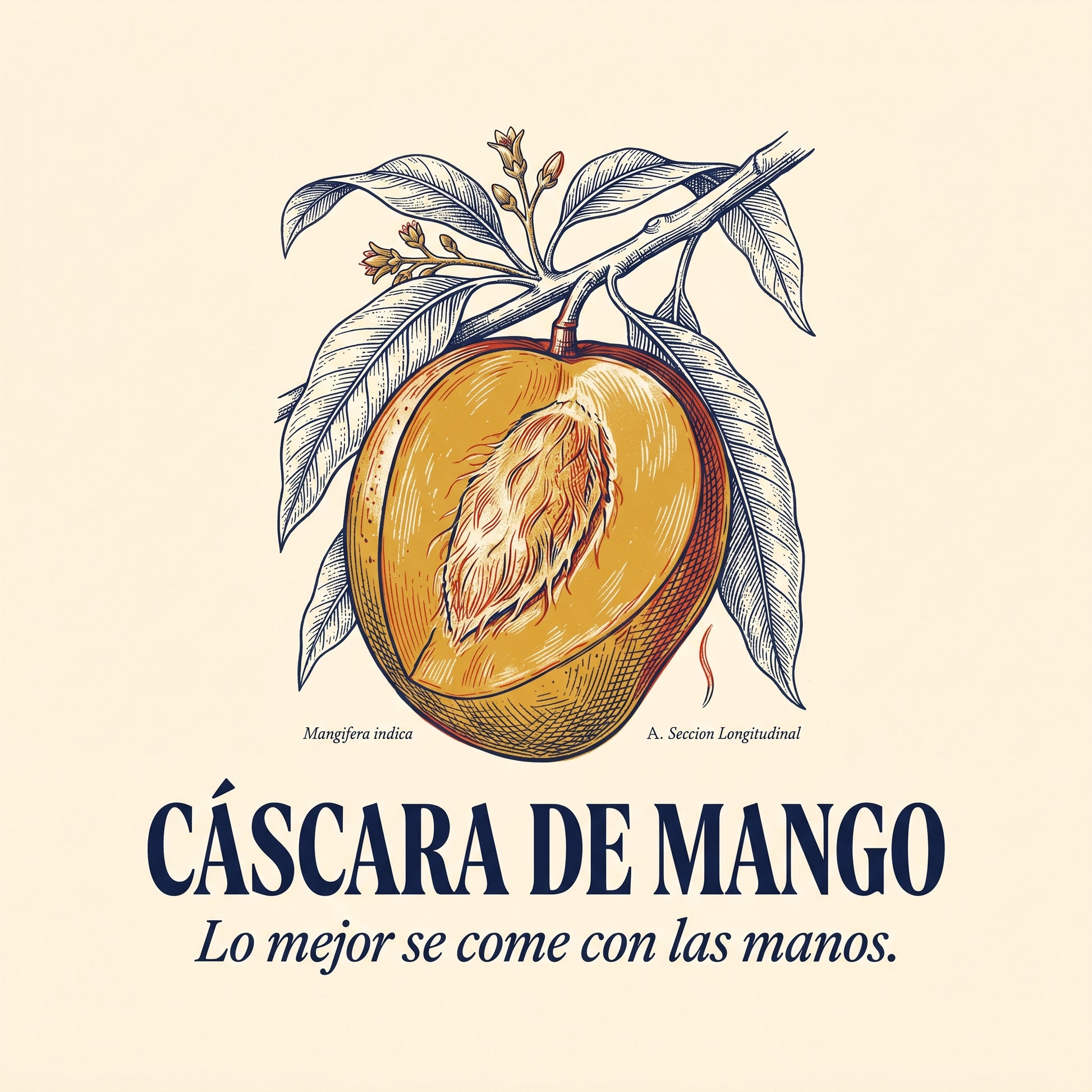 CÁSCARA DE MANGO
