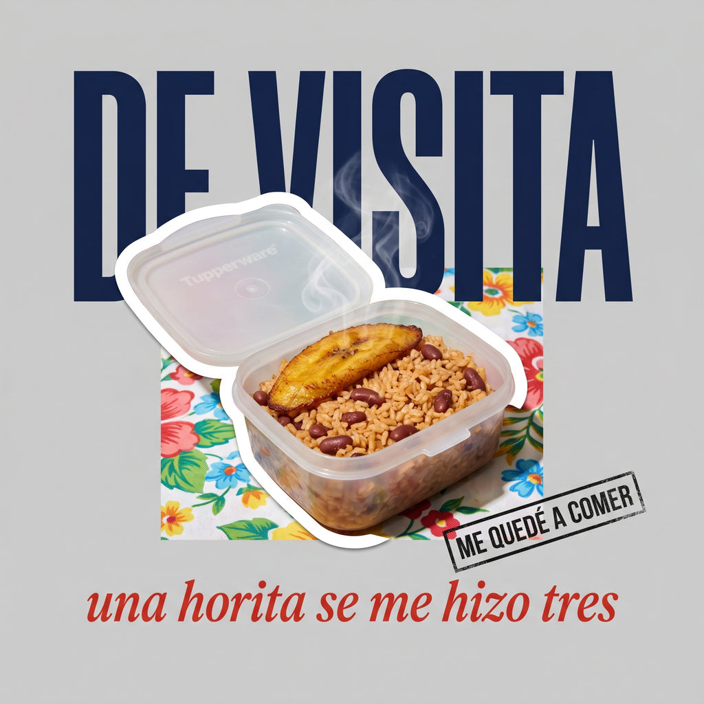 DE VISITA — design