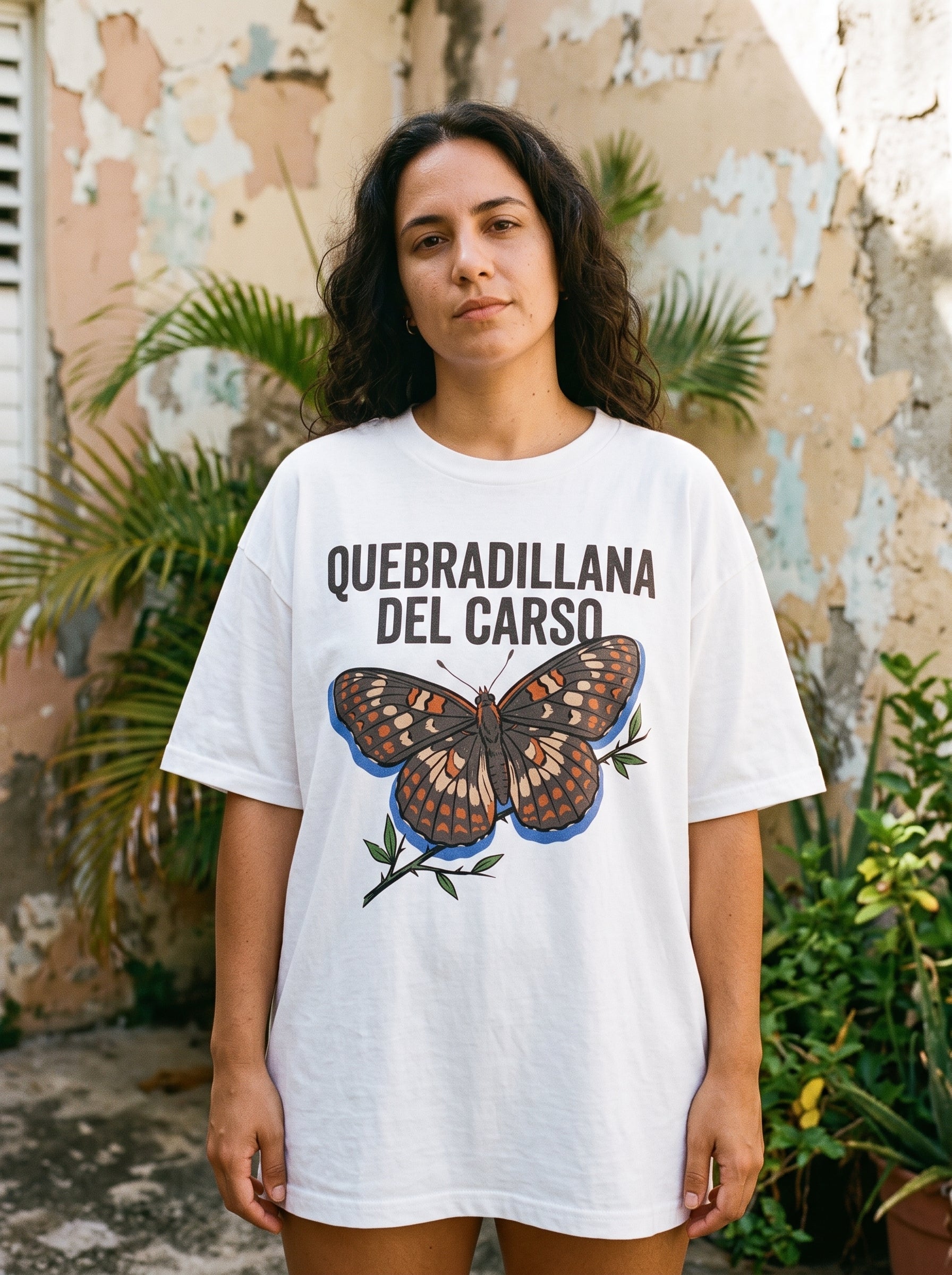 QUEBRADILLANA DEL CARSO HIC AI mockup