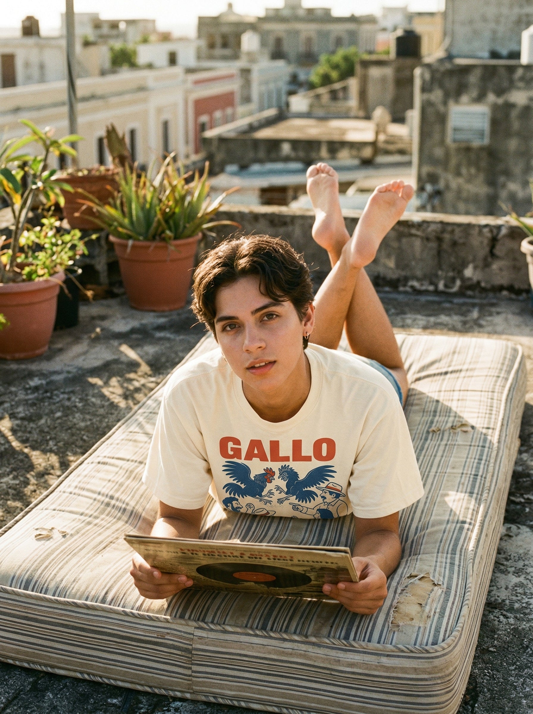 GALLO - December 20, 2019 BANNED by federals — gallo-december-20-2019-banned--lifestyle-b-prone-reading