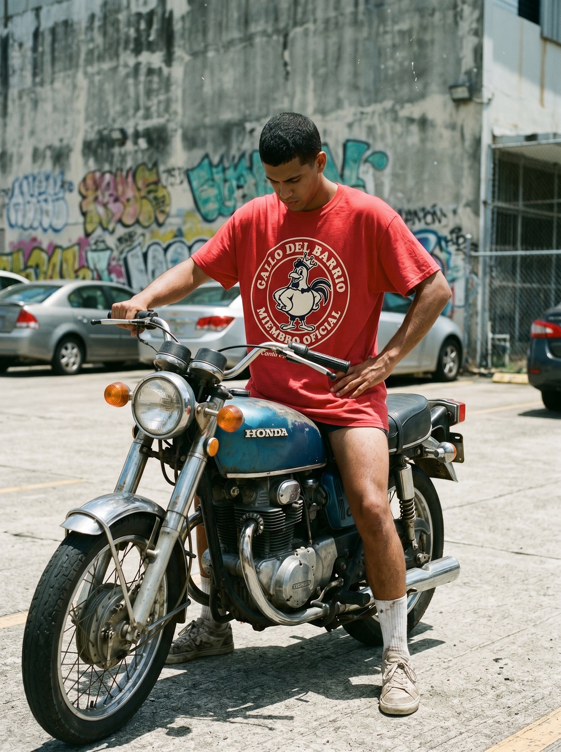 GALLO DEL BARRIO — worn