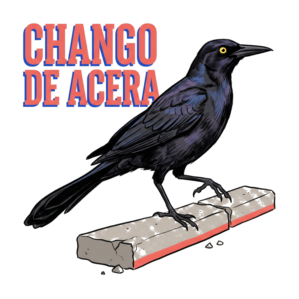 CHANGO DE ACERA standalone artwork