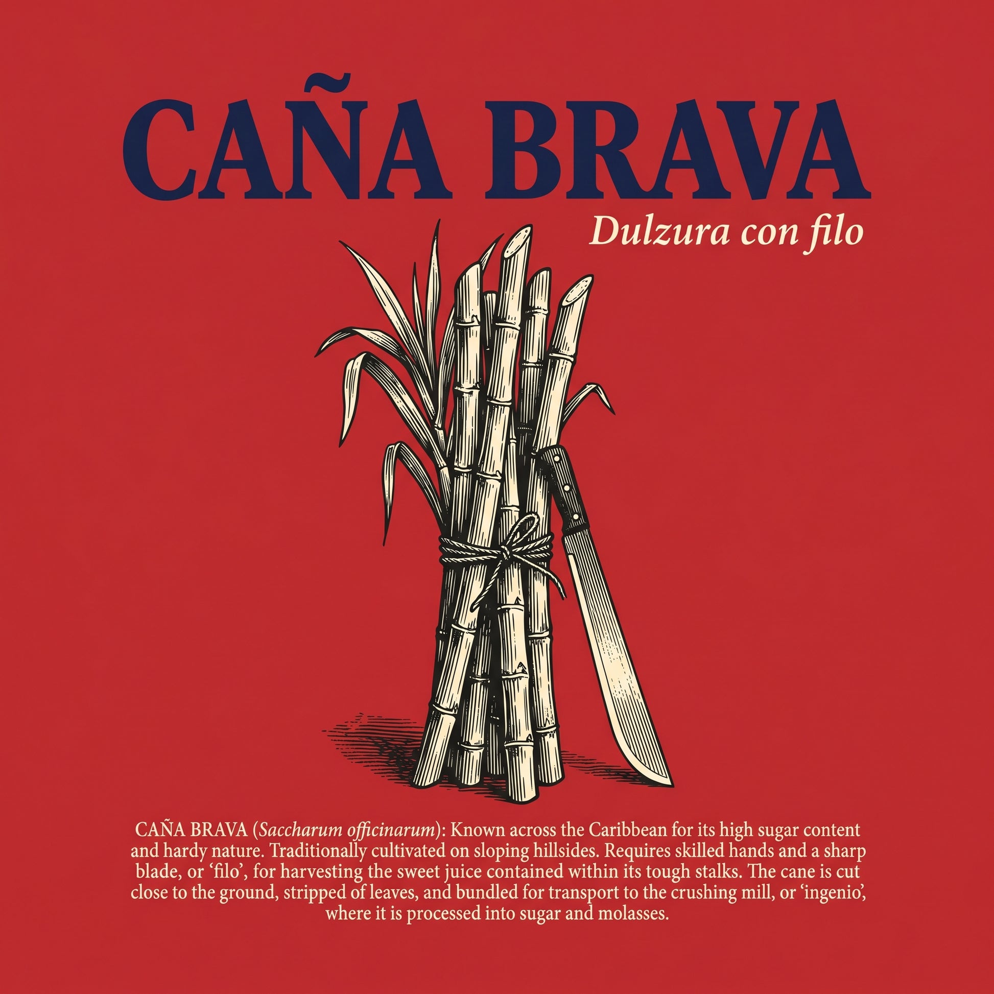CAÑA BRAVA — design