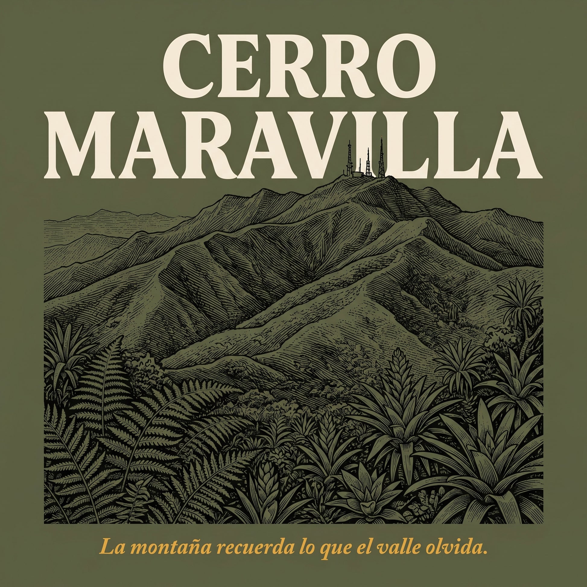 CERRO MARAVILLA