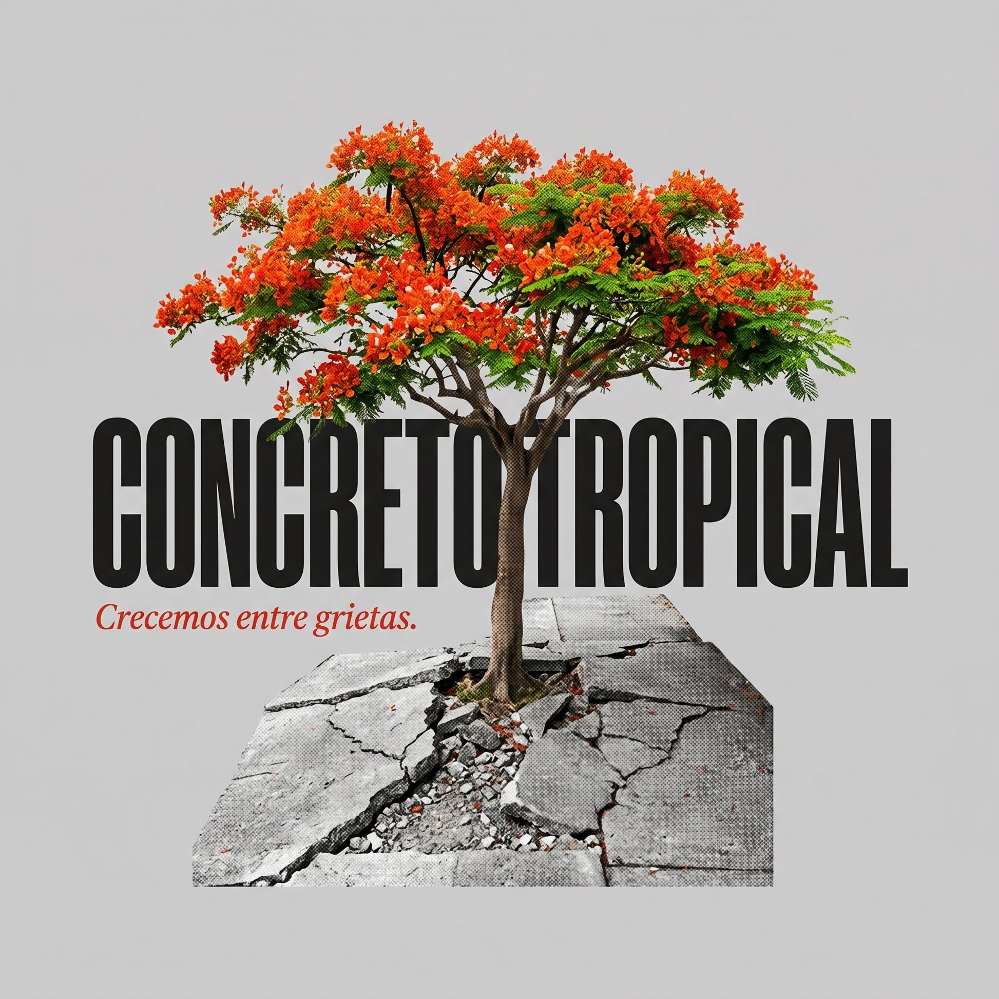 CONCRETO TROPICAL