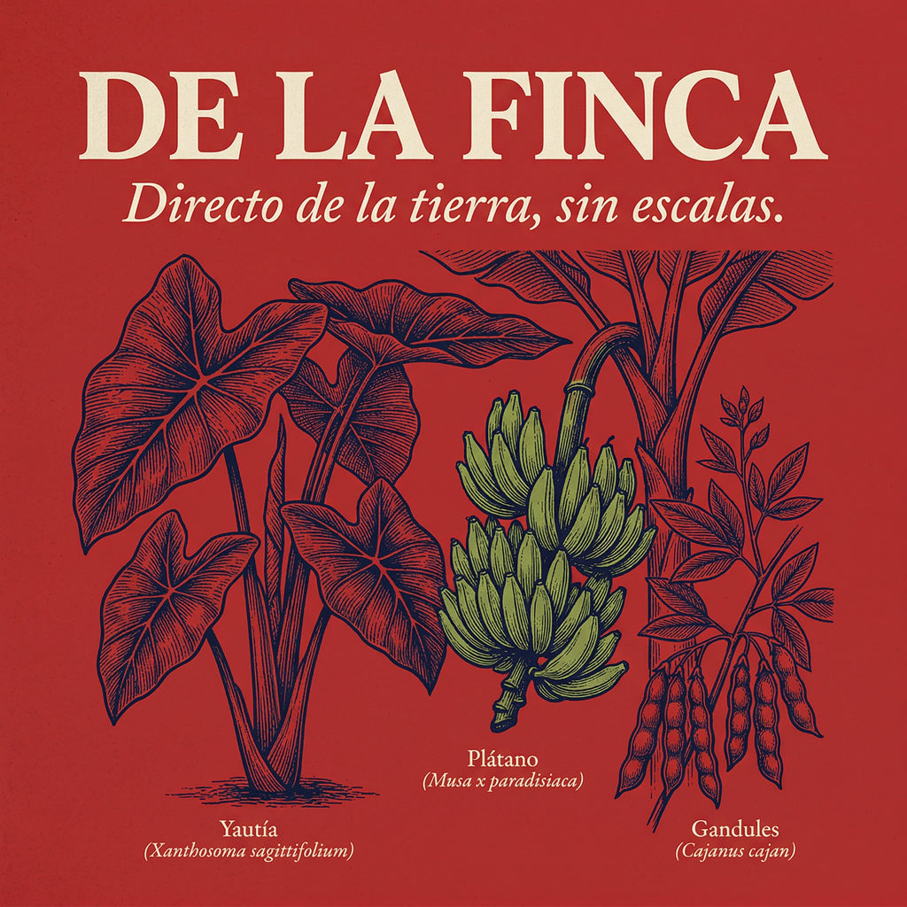 DE LA FINCA