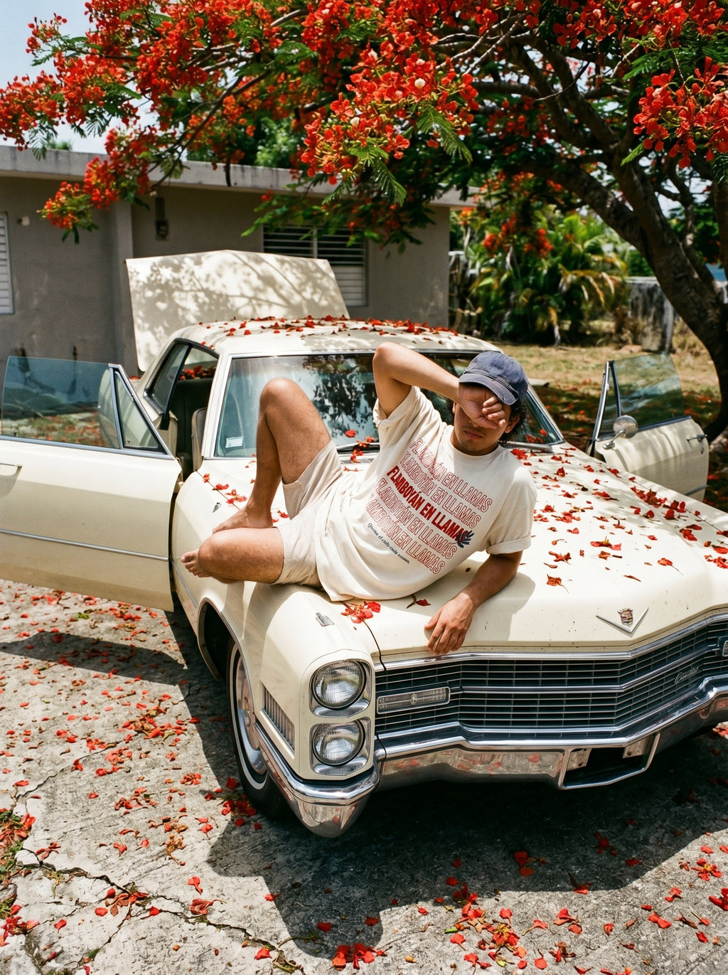 FLAMBOYÁN EN LLAMAS — model
