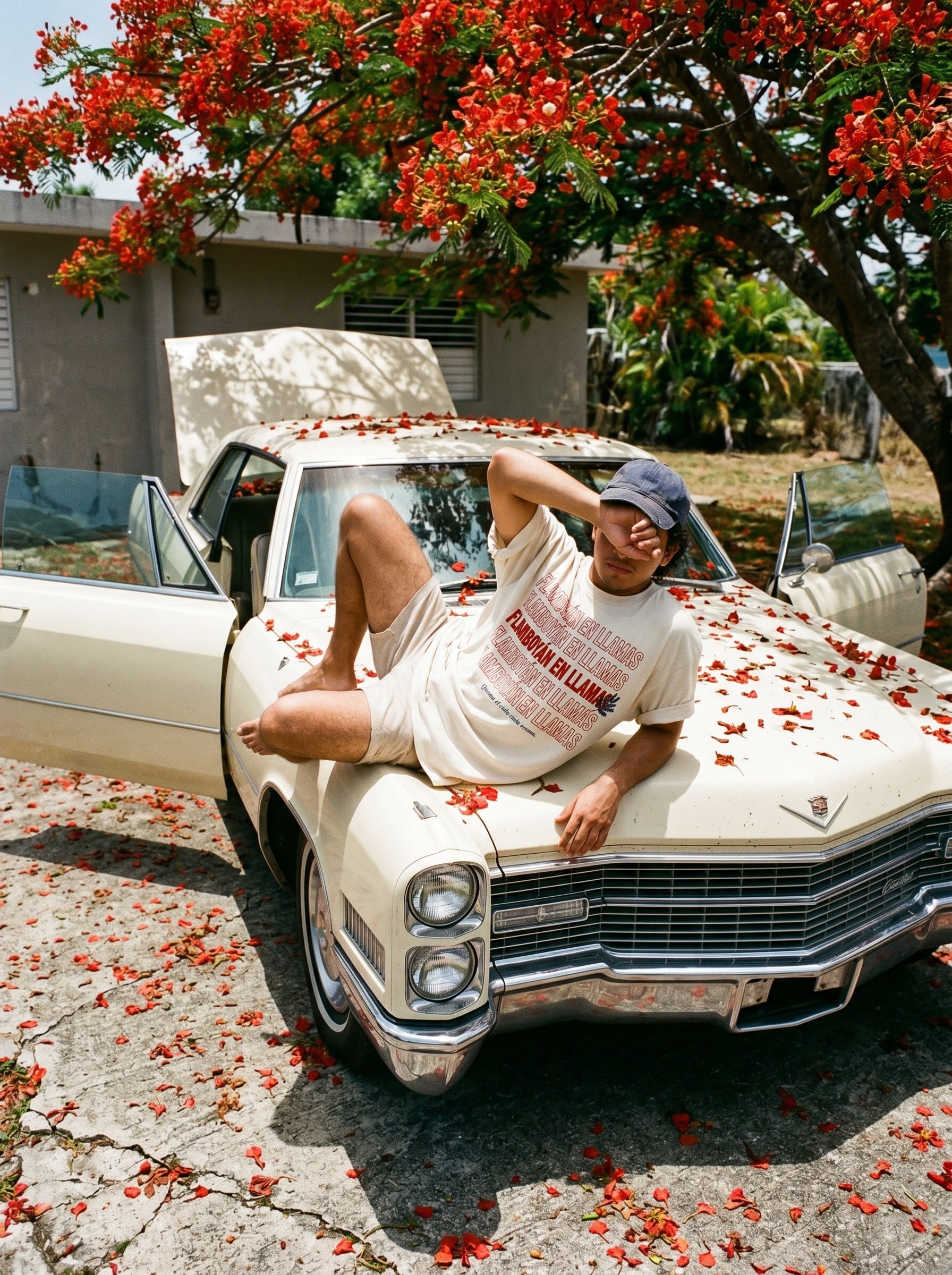 FLAMBOYÁN EN LLAMAS — model