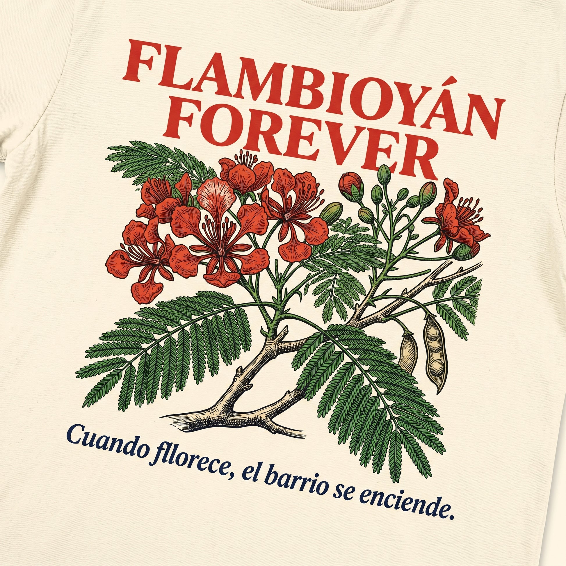 FLAMBOYÁN FOREVER design