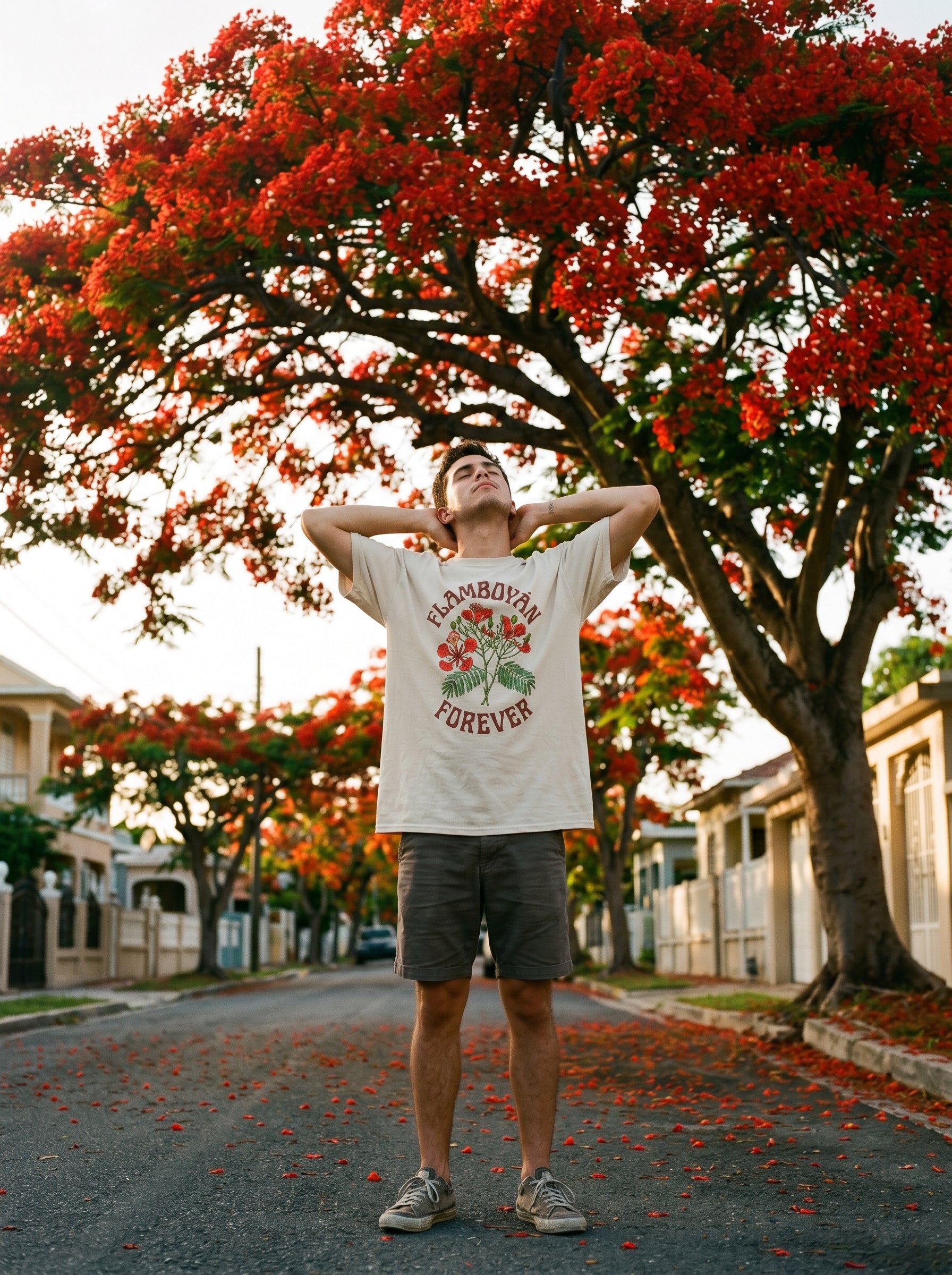 FLAMBOYÁN FOREVER model