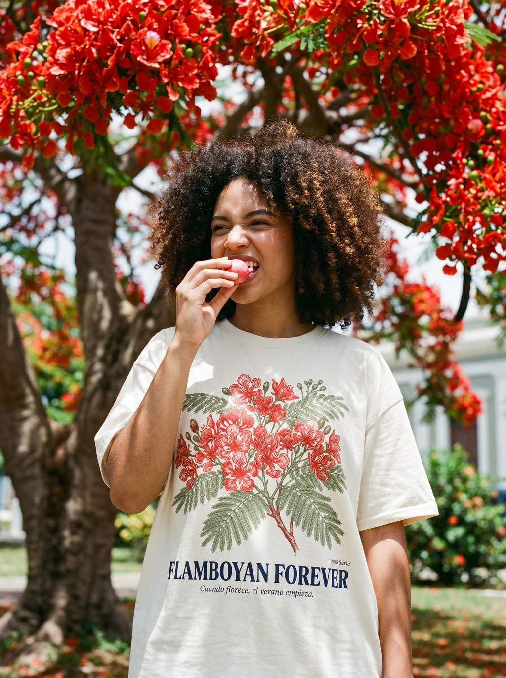 FLAMBOYÁN FOREVER - model
