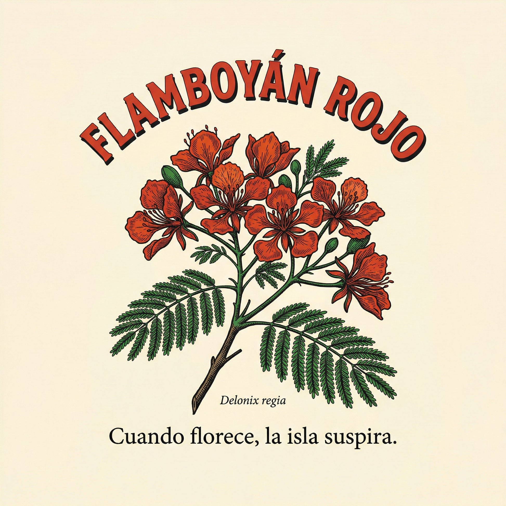 FLAMBOYÁN ROJO design