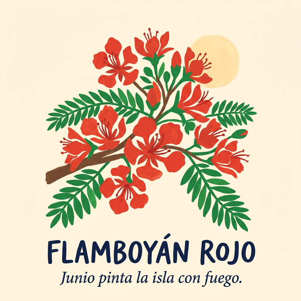 FLAMBOYÁN ROJO — design