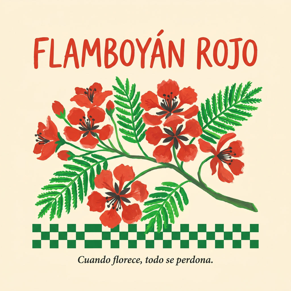 FLAMBOYÁN ROJO