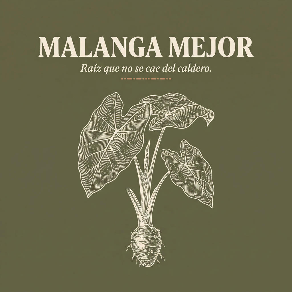 MALANGA MEJOR — design