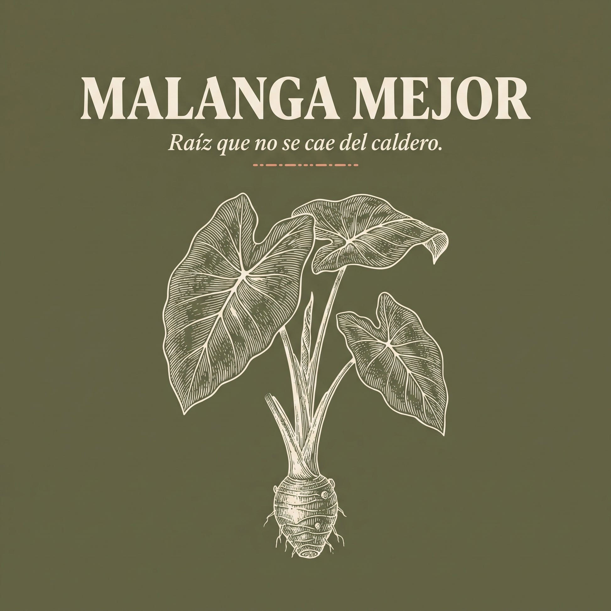MALANGA MEJOR — design
