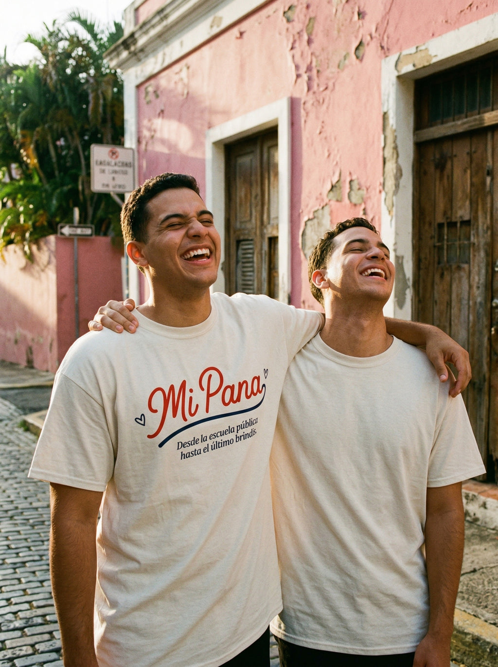 MI PANA model