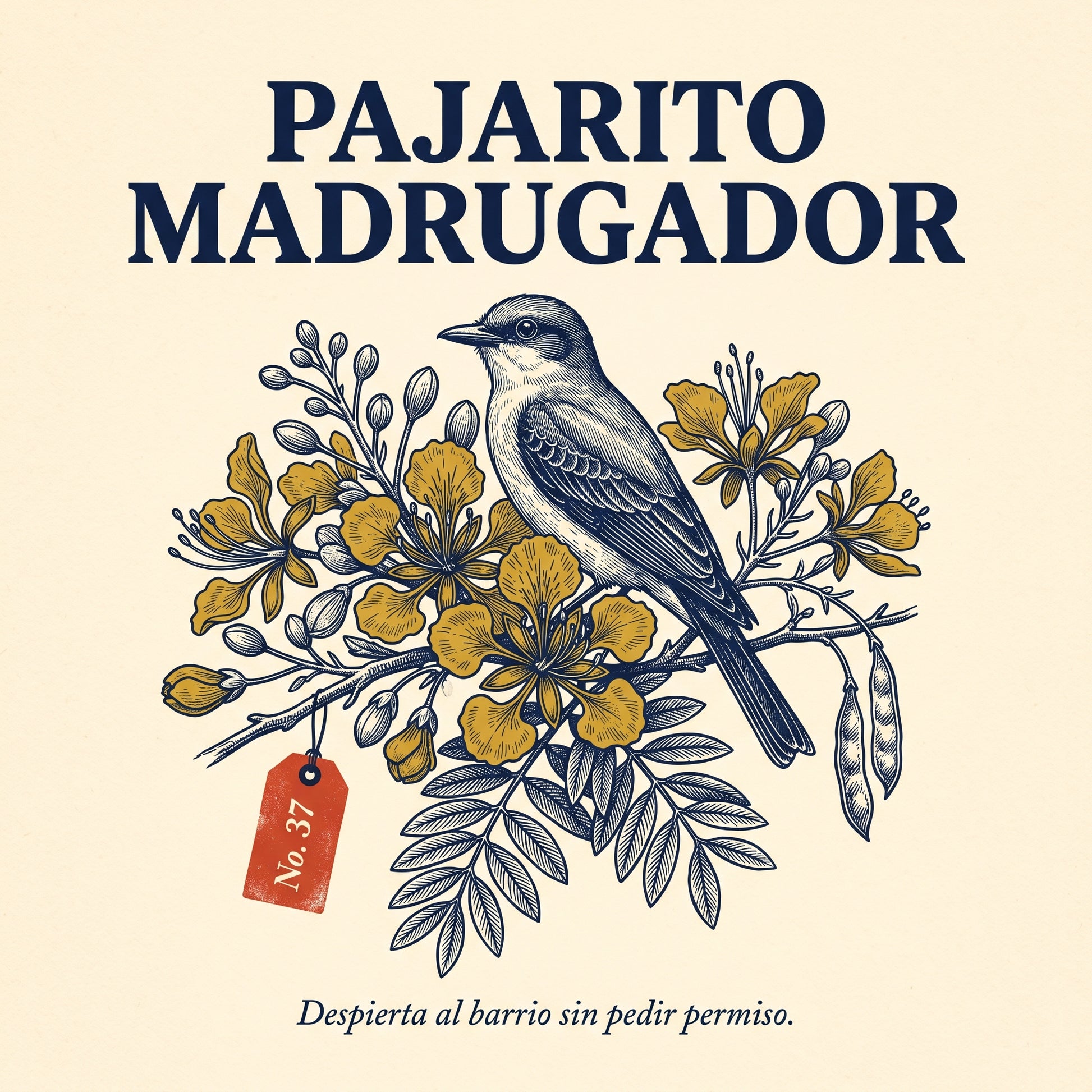 PAJARITO MADRUGADOR — design