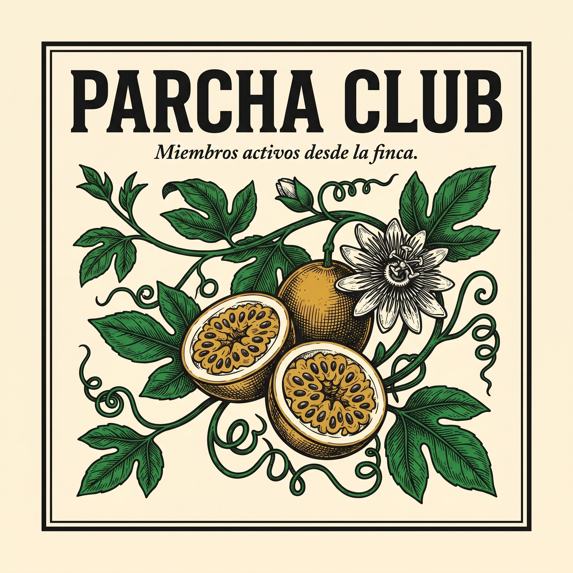 PARCHA CLUB