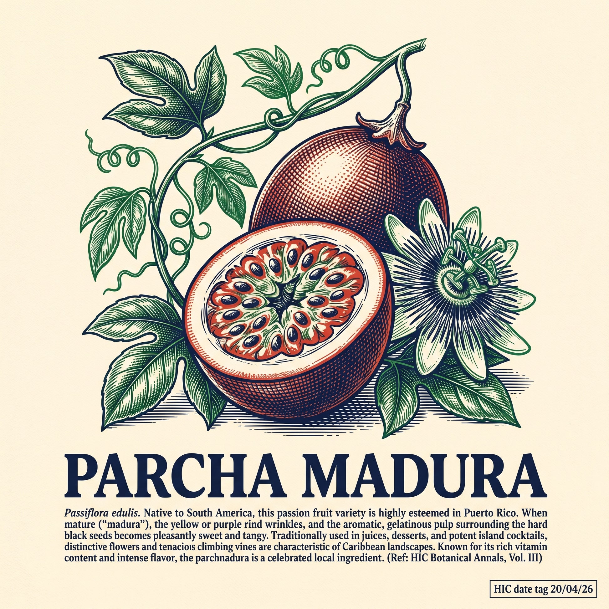 PARCHA MADURA — design