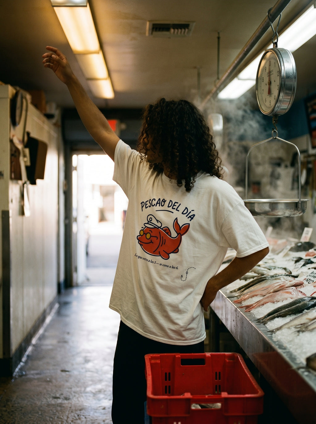 PESCAO DEL DÍA — on model