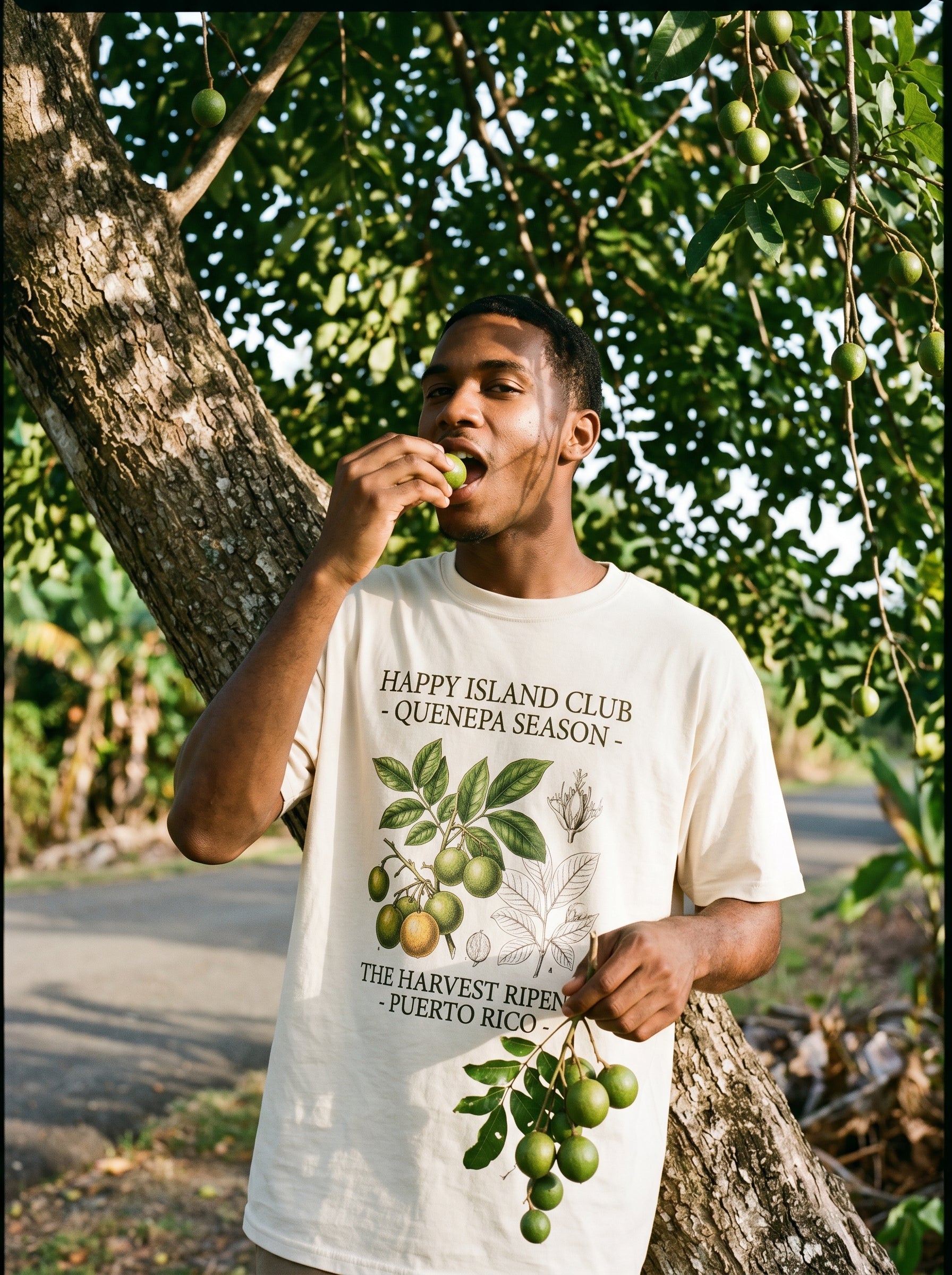 QUENEPA SEASON - Model