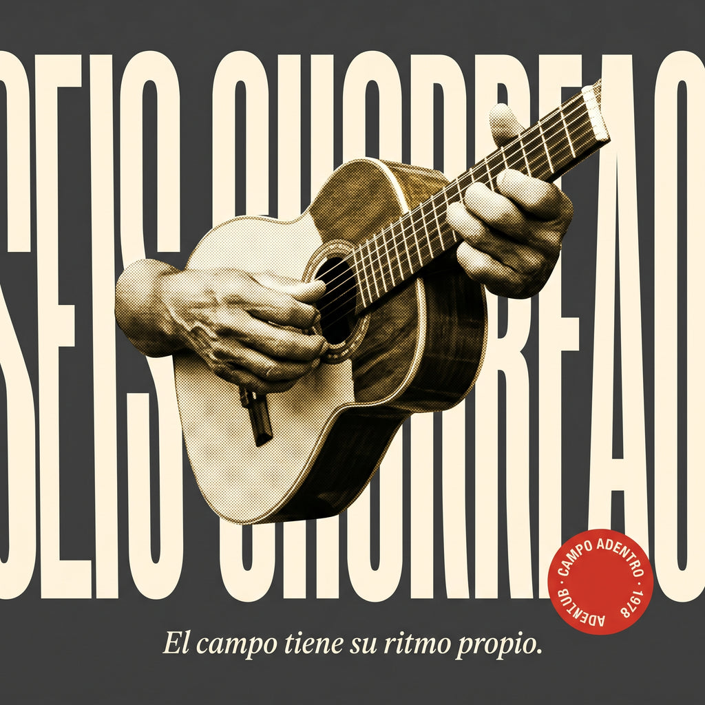 SEIS CHORREAO - design