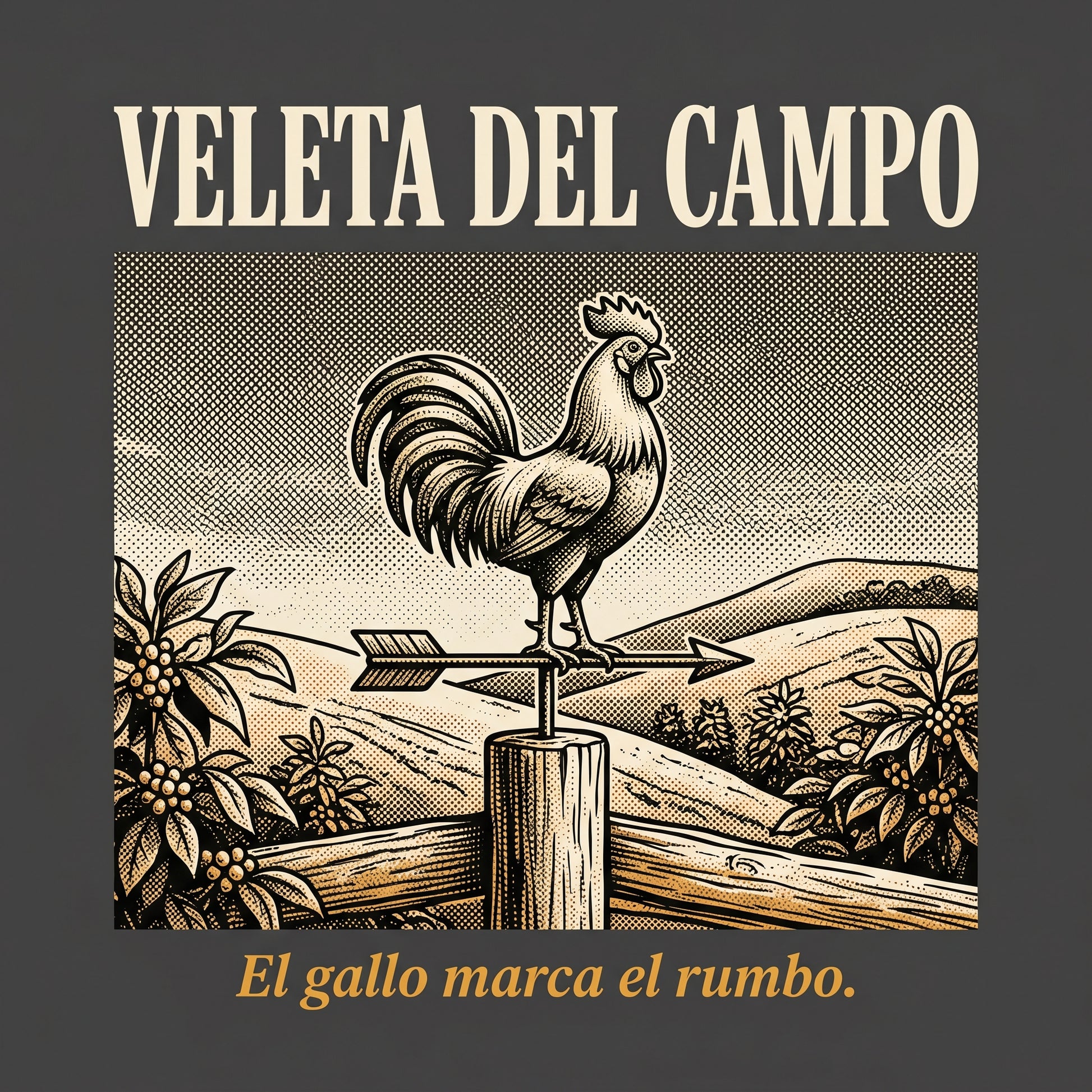 VELETA DEL CAMPO