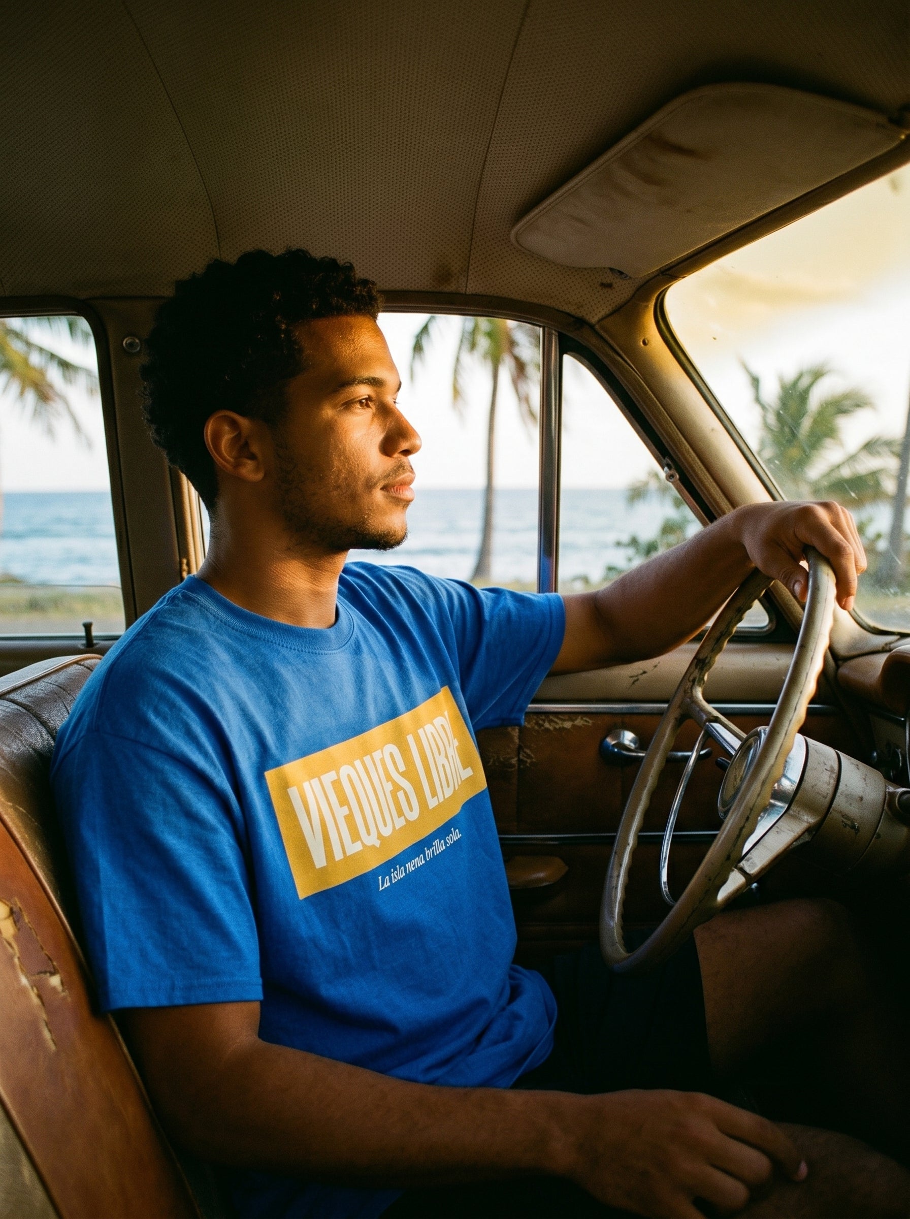 VIEQUES LIBRE - Model