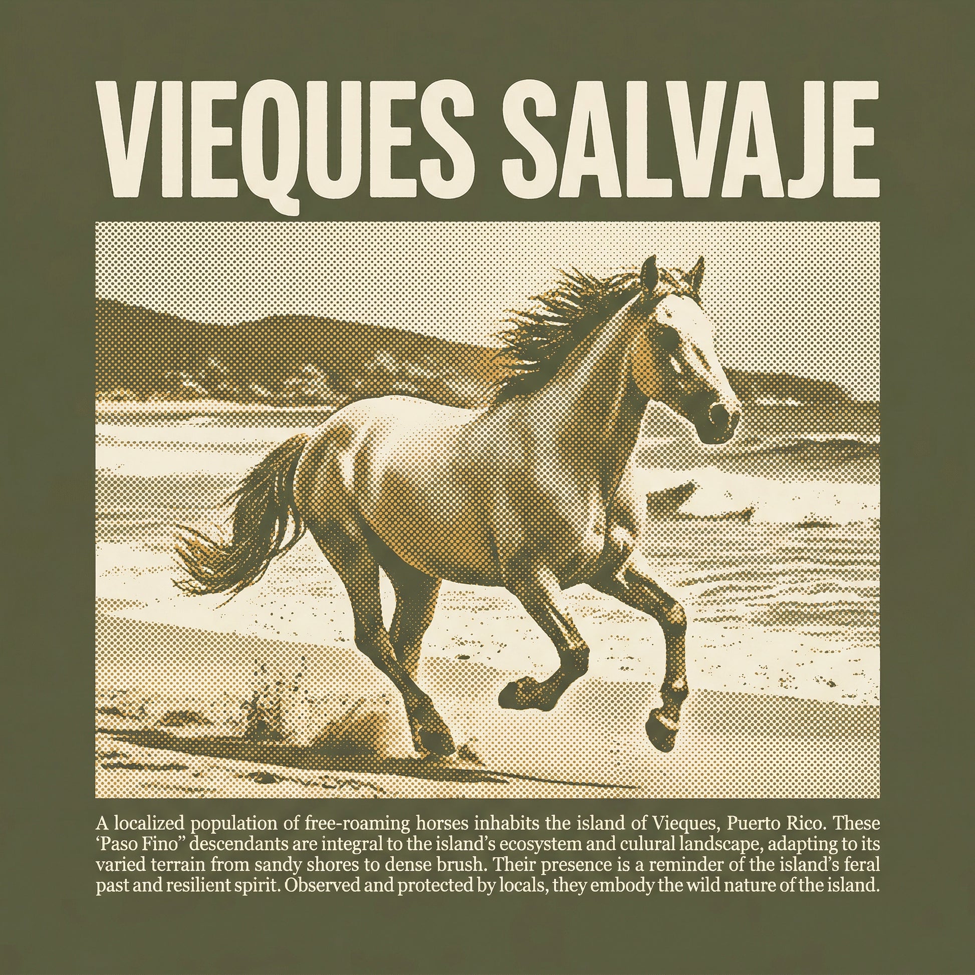 VIEQUES SALVAJE - Design