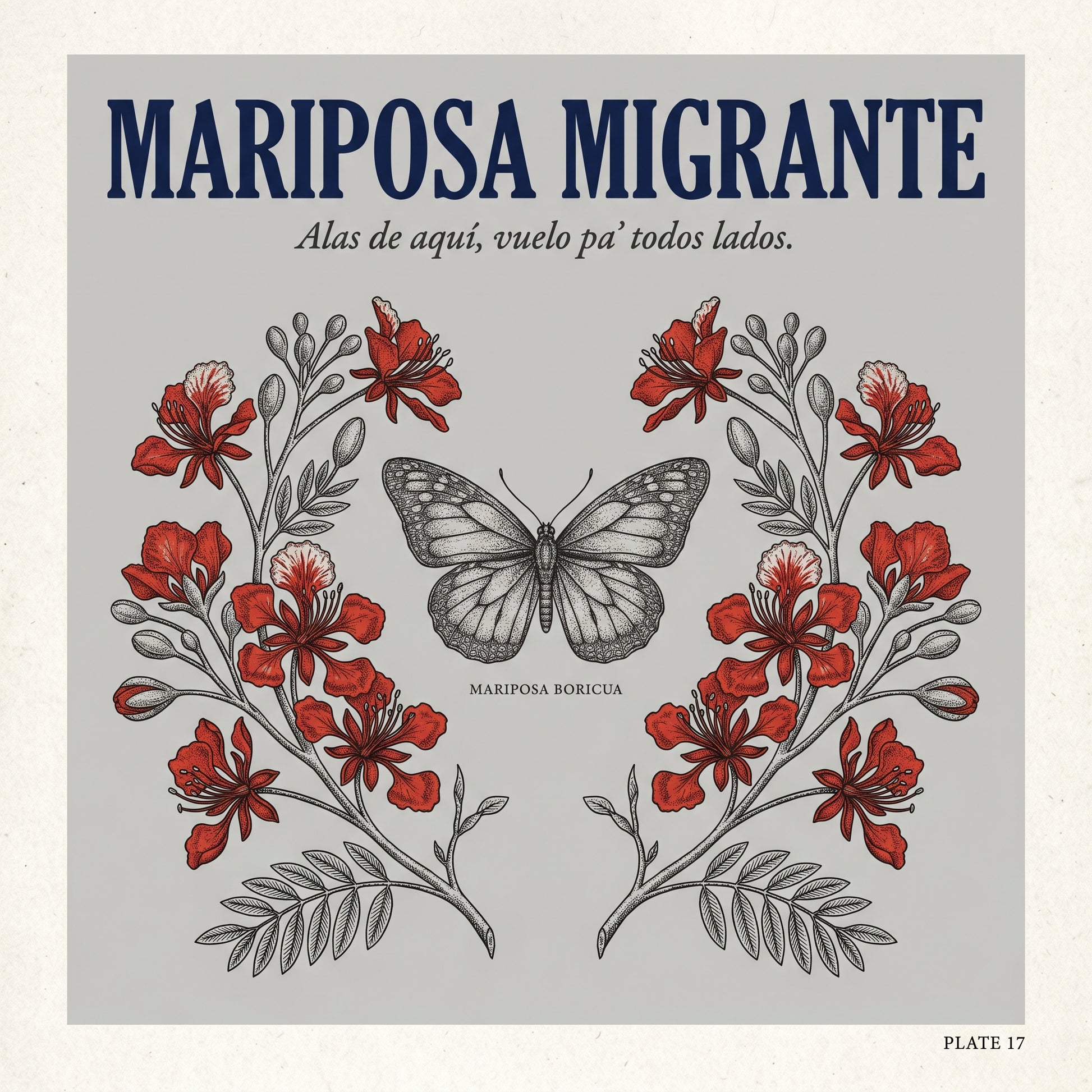 MARIPOSA MIGRANTE graphic
