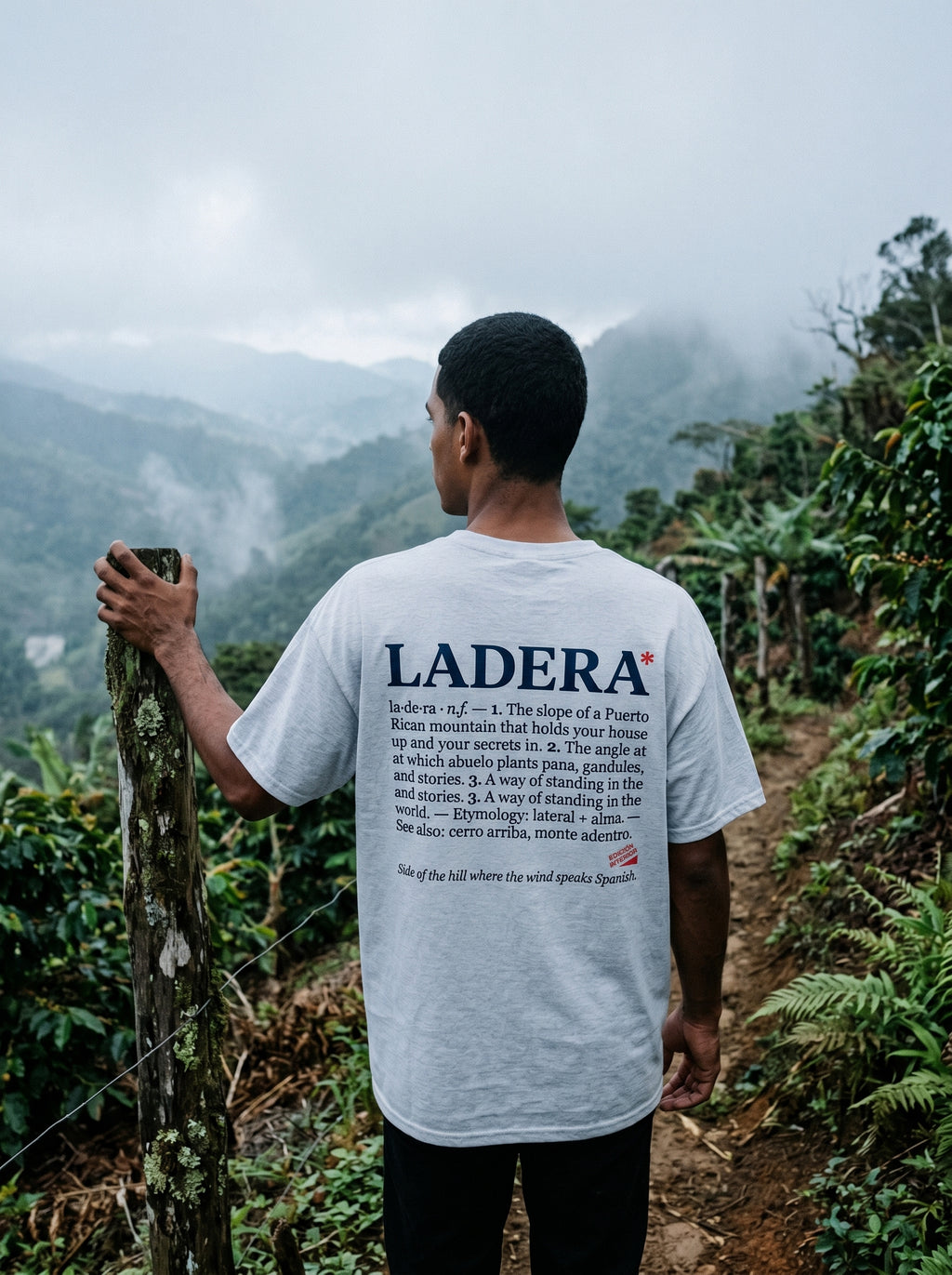 LADERA — model