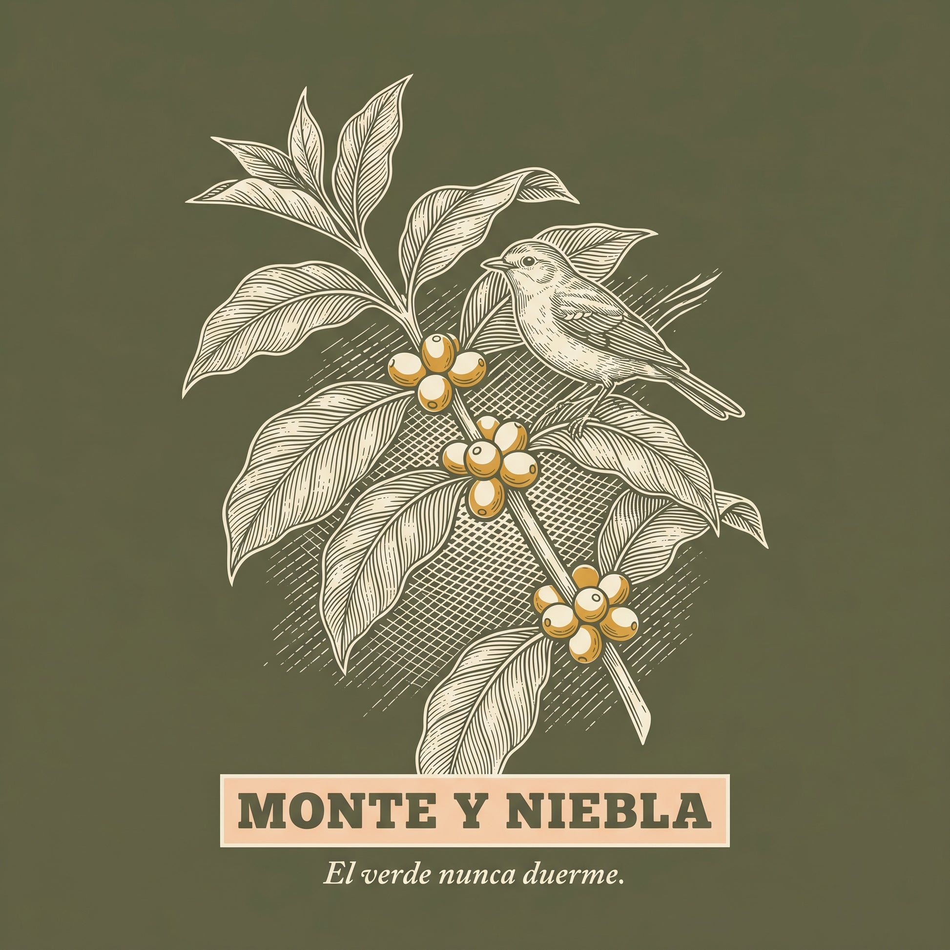 MONTE Y NIEBLA — design
