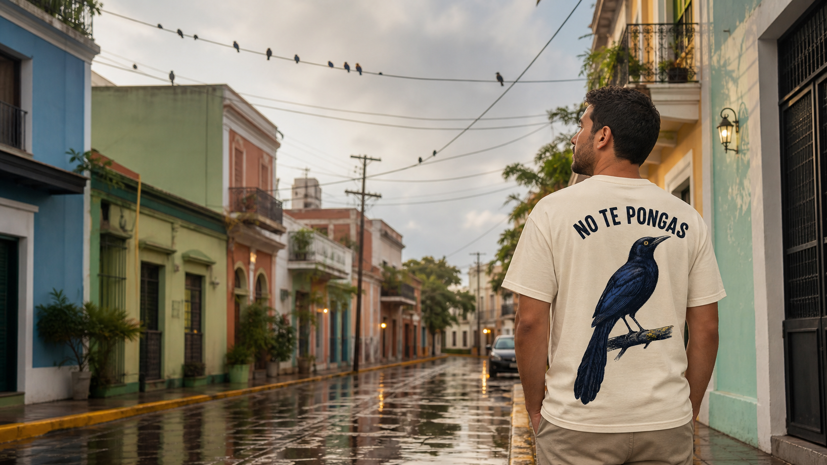 No Te Pongas Chango back-print campaign cover
