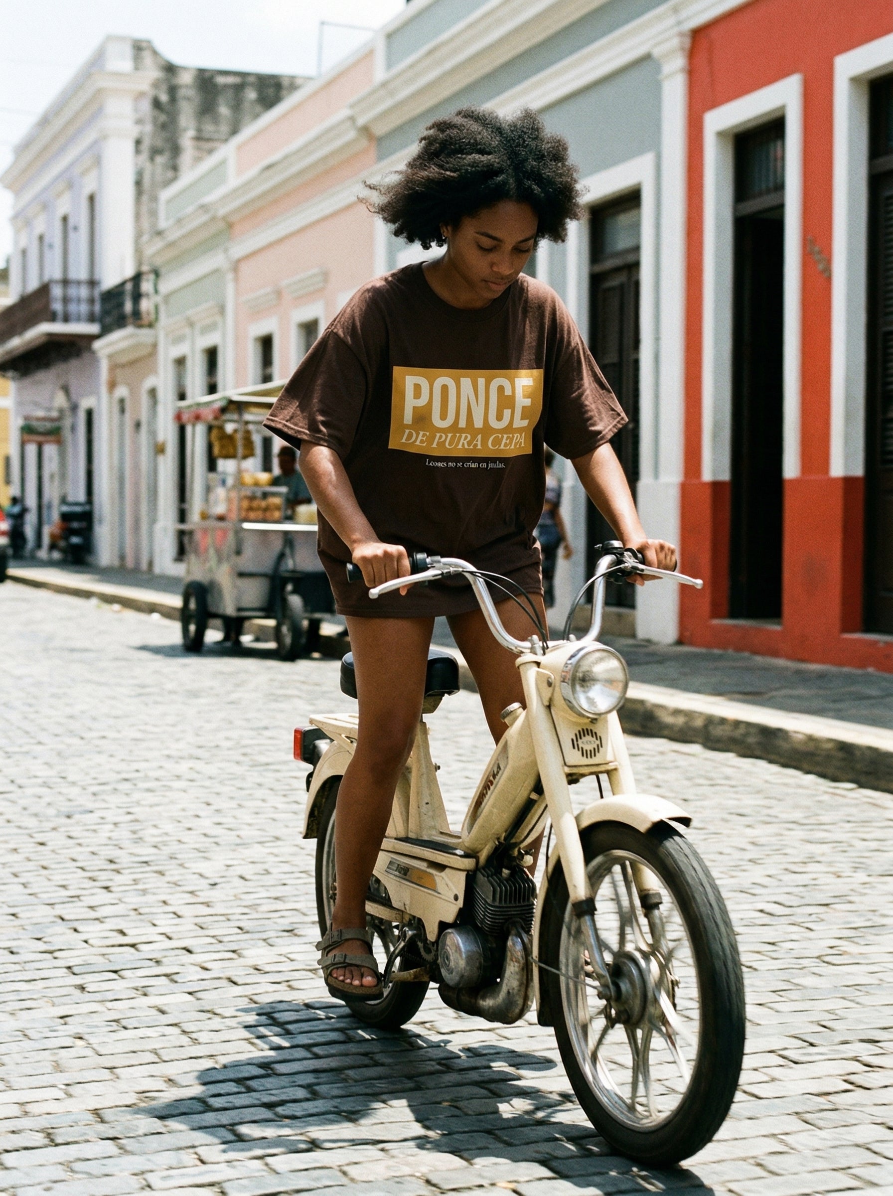 PONCE DE PURA CEPA