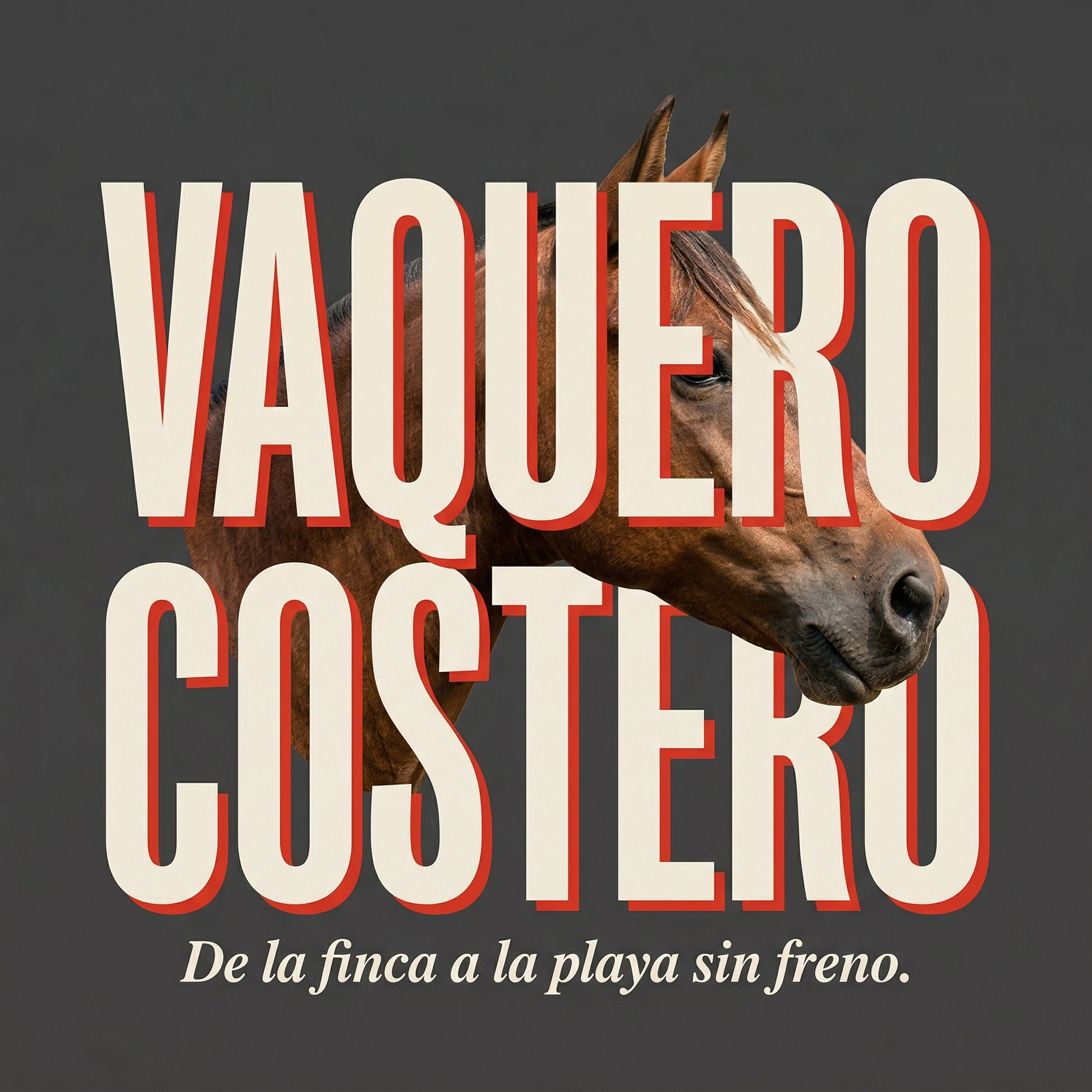 VAQUERO COSTERO