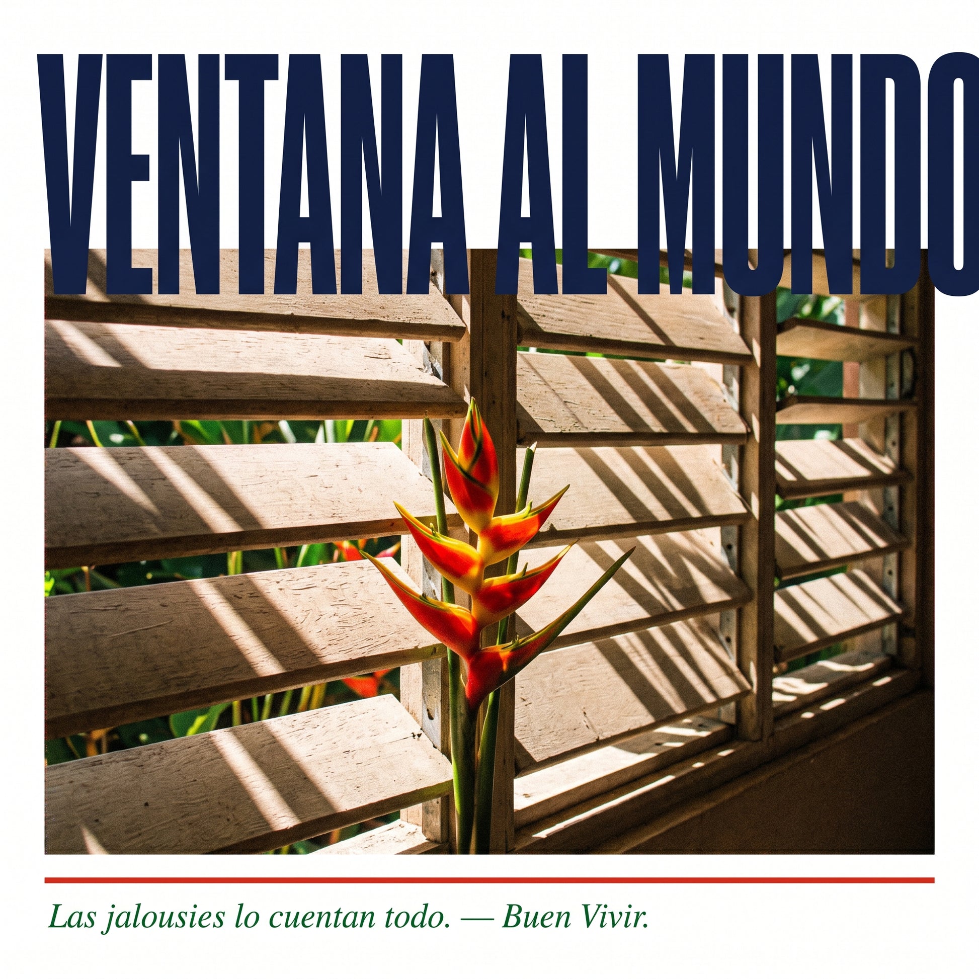 VENTANA AL MUNDO