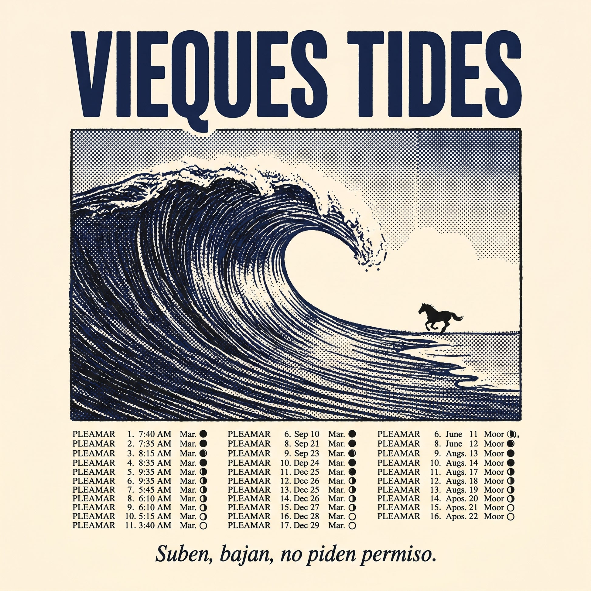 VIEQUES TIDES — design