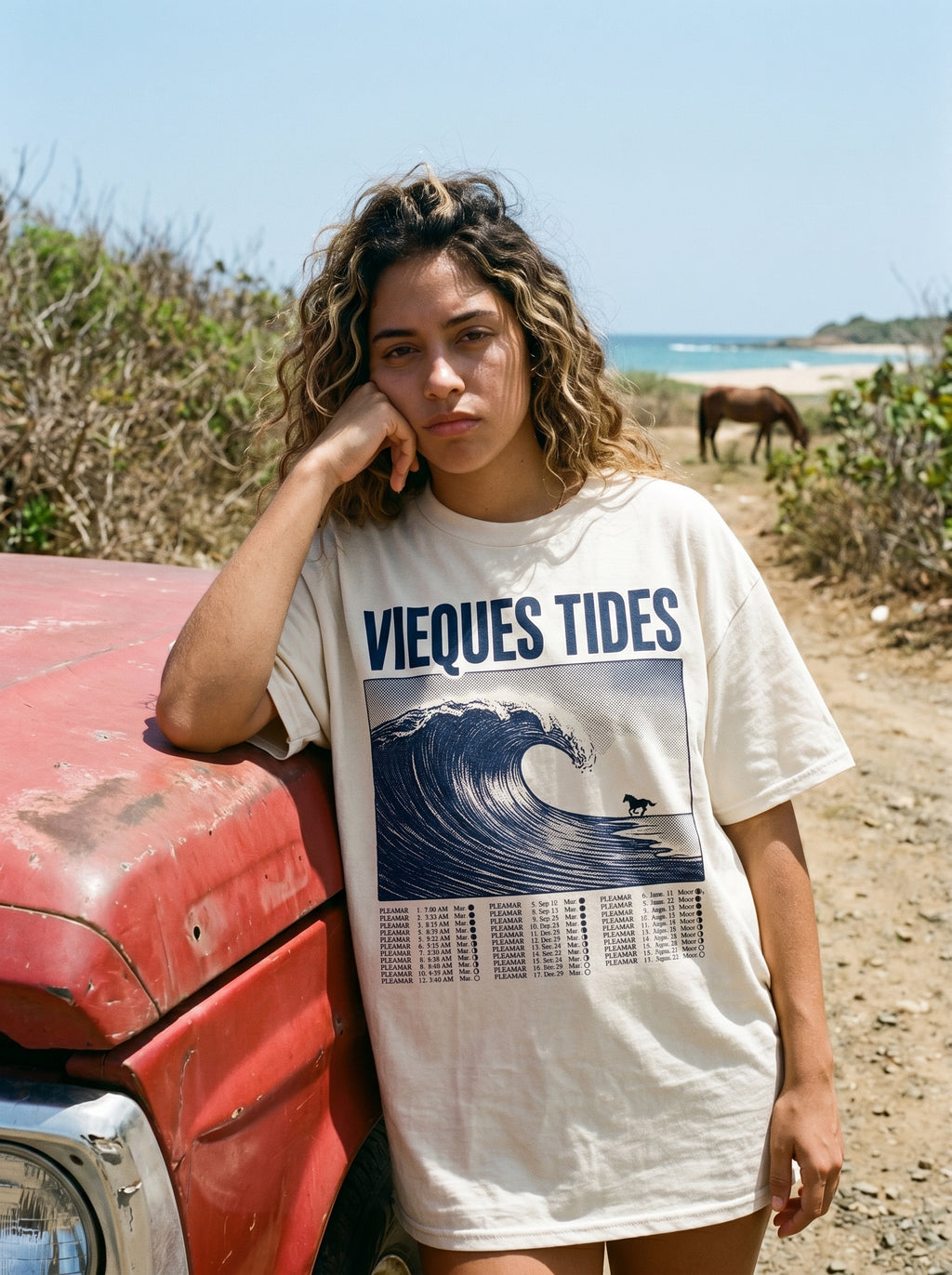 VIEQUES TIDES — model