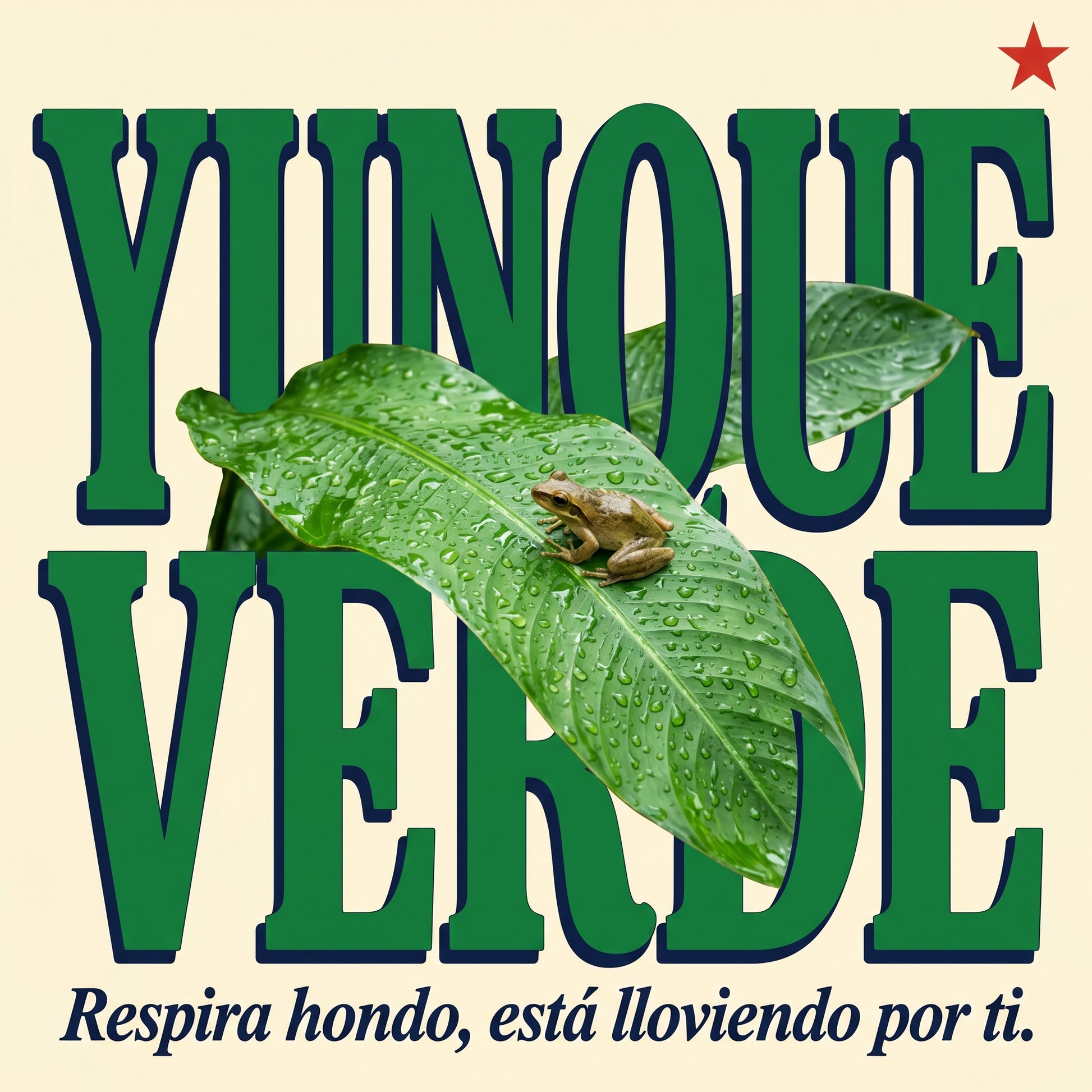YUNQUE VERDE — design graphic